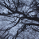 Illustration for article titled Zoom Photo Challenge Gallery 2